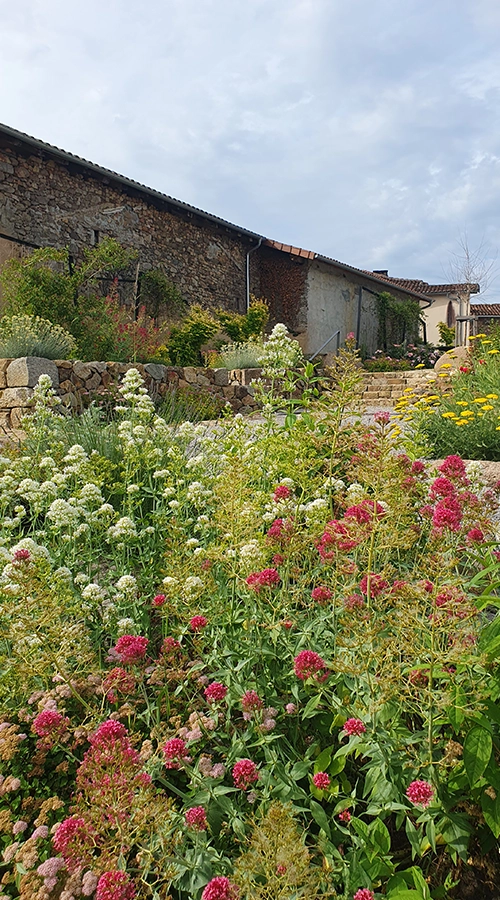 Conception de Projets de Jardins Personnalisés à Angoulême